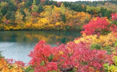 浄土平ギャラリー