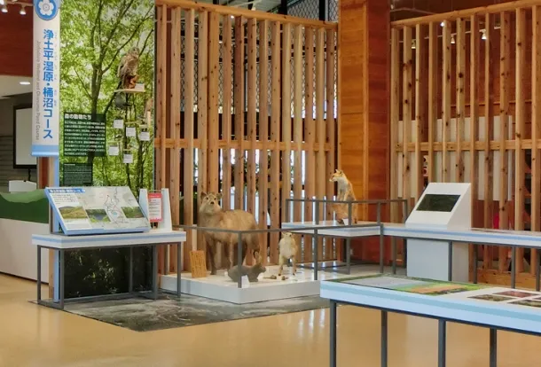 トレッキングコース写真