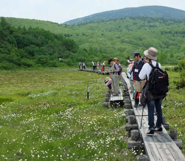 浄土平湿原 写真